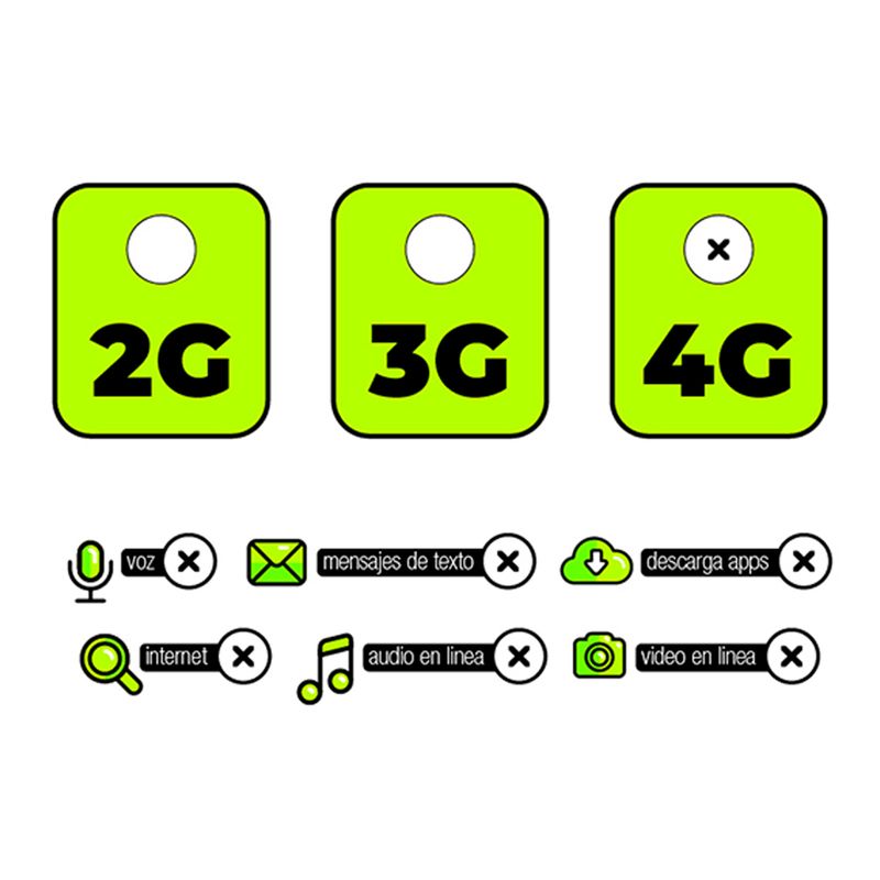 reglamentaria_4G